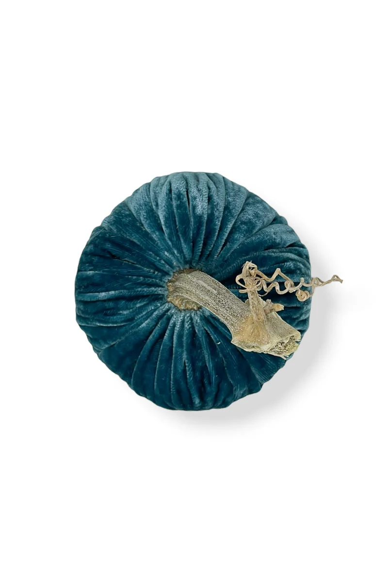 Plush Pumpkin Velvet Pumpkin 6" Peacock - Image 3