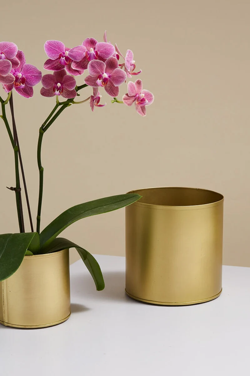 Bryant Pot 6.25"x 6" Gold