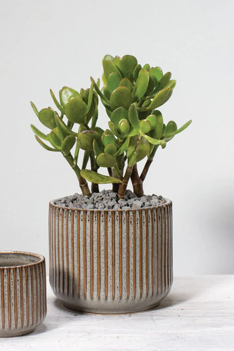 Habitat Pot 5.25"x4.25" Grey