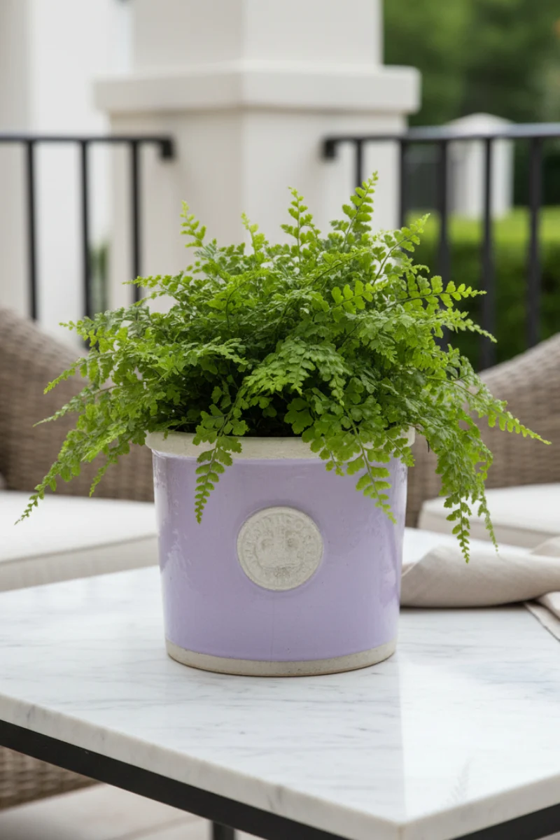 Chelsea Kew Round Herb Planter 4" Lavender