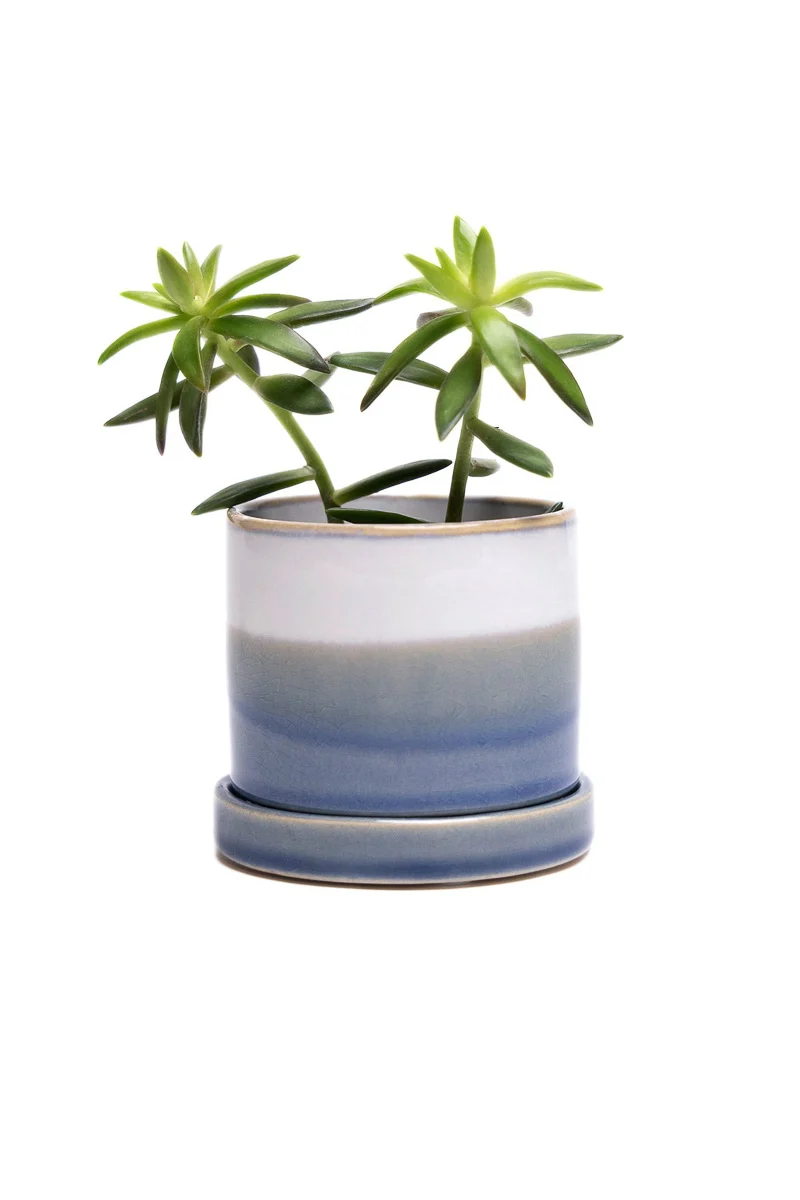 Chive Pot & Saucer Minute 1 With Layers 3" Blue