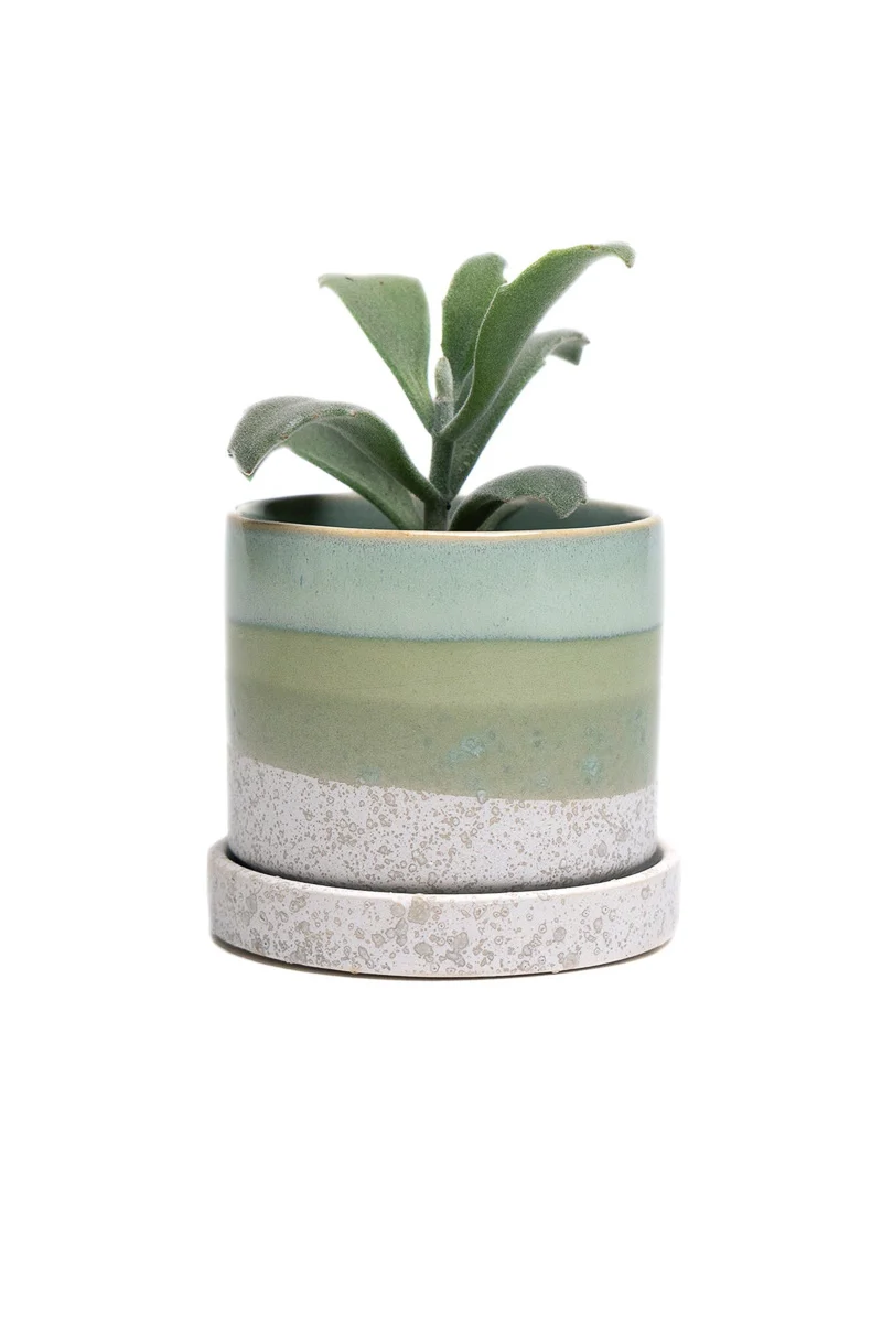 Chive Pot & Saucer Minute 1 Cement 3" Green