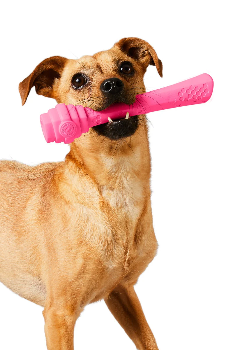Project Hive Berry Fetch Stick - Image 2
