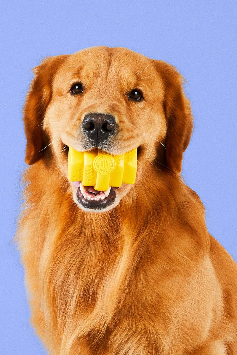 Project Hive Chew Toy LG - Image 3