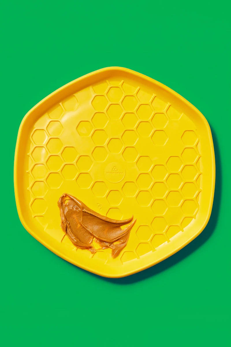 Project Hive Disc - Image 4