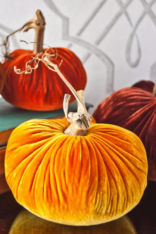 Plush Pumpkin Velvet Pumpkin 10" Carrot