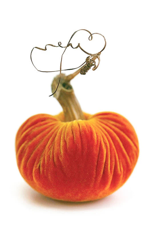 Plush Pumpkin Velvet Pumpkin 10" Carrot - Image 2