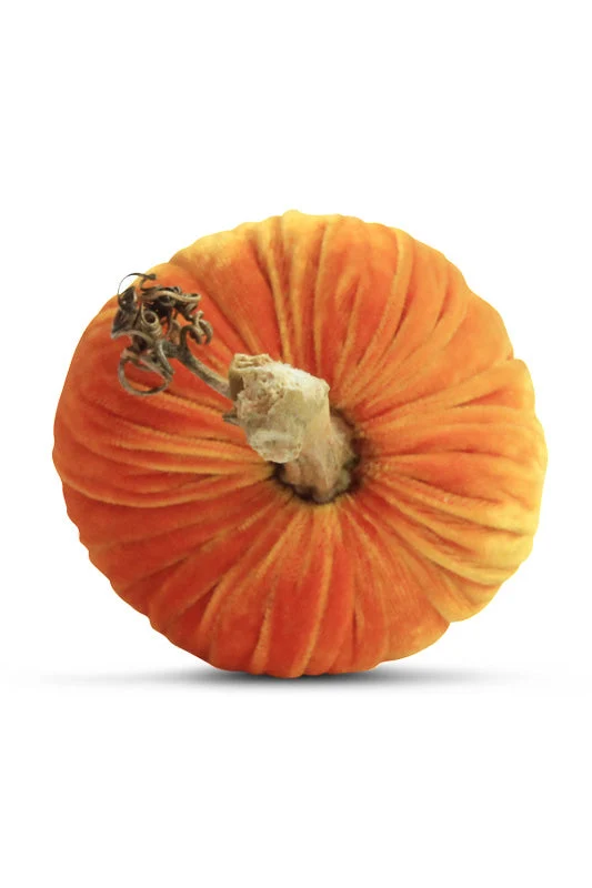 Plush Pumpkin Velvet Pumpkin 10" Carrot - Image 3