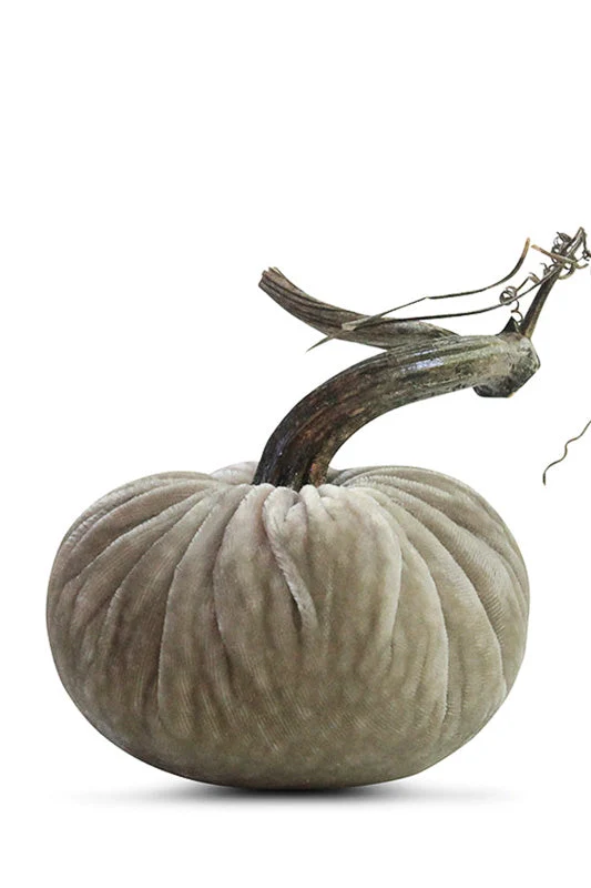 Plush Pumpkin Velvet Pumpkin 5" Putty - Image 2
