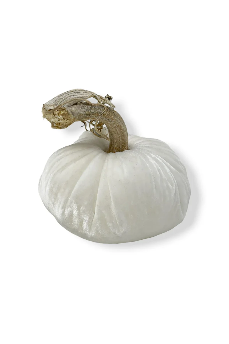 Plush Pumpkin Velvet Pumpkin 4" Snow - Image 2
