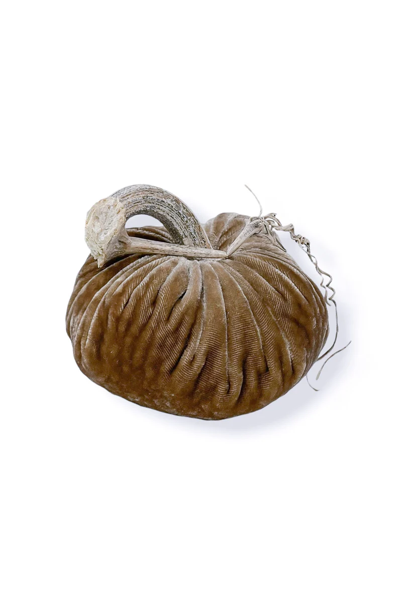 Plush Pumpkin Velvet Pumpkin 8" Stone - Image 2