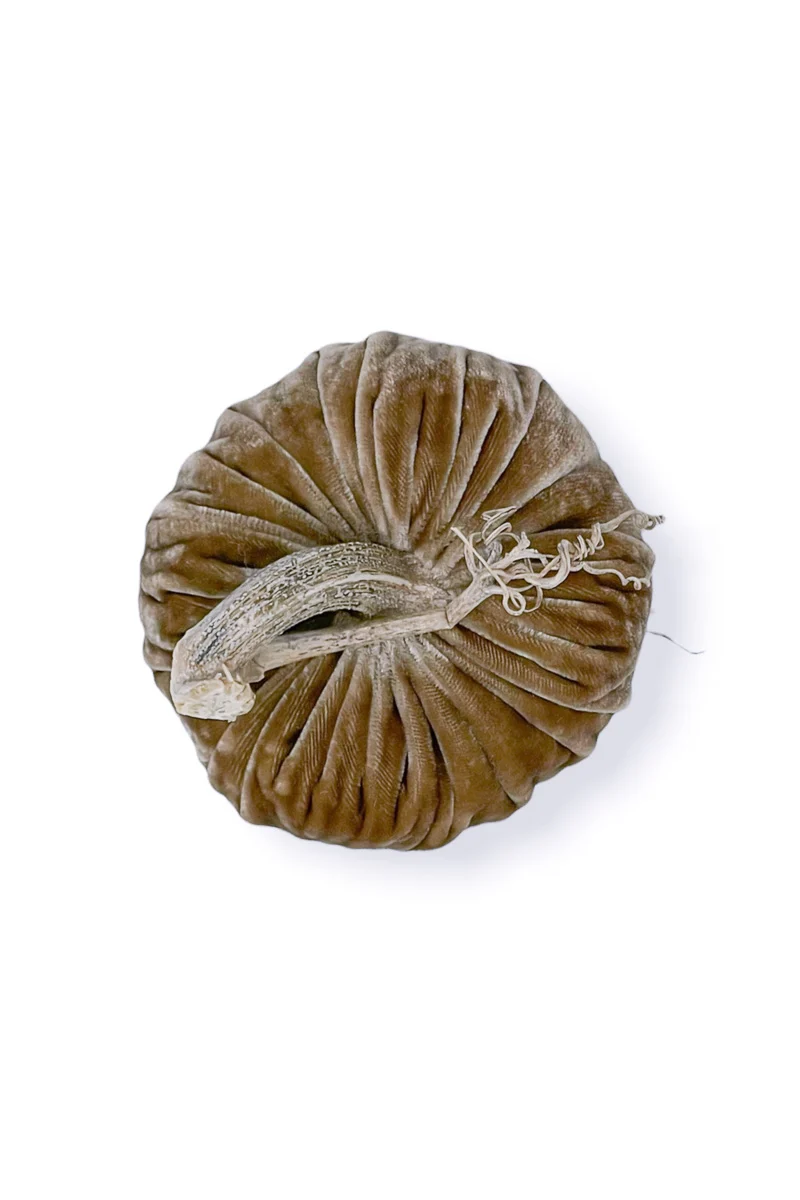 Plush Pumpkin Velvet Pumpkin 8" Stone - Image 3