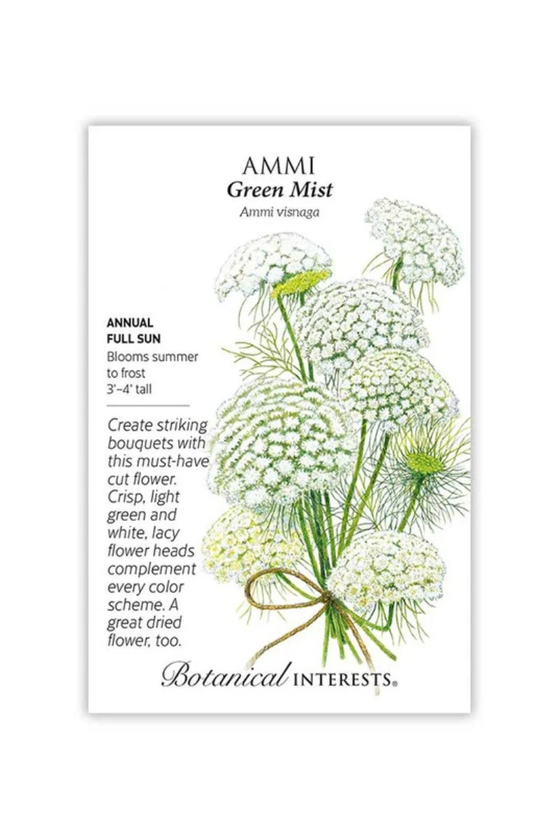 Botanical Interests Green mist Ammi Seeds