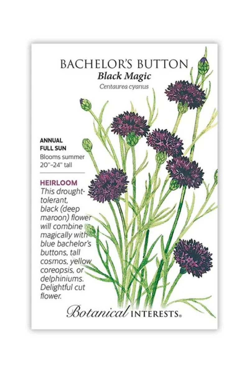 Botanical Interests Black Magic Bachelor's Button Seeds