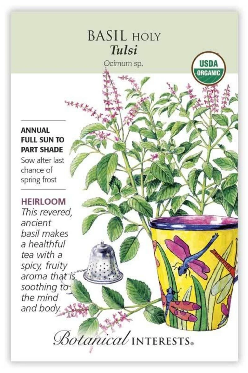 Botanical Interests Tushi Holy Basil Organic Seeds