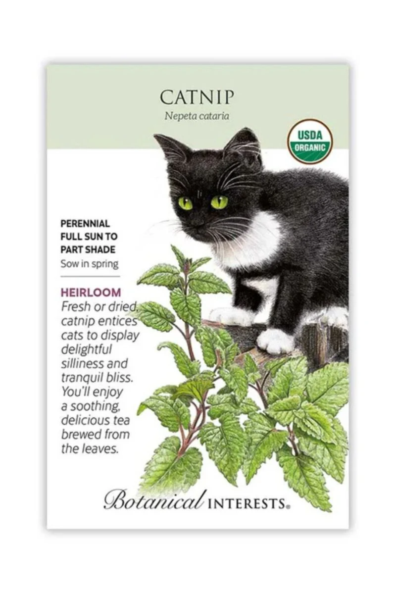 Botanical Interests Catnip Organic Seeds