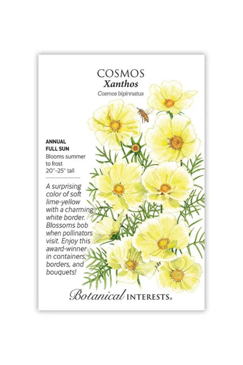 Botanical Interests Xanthos Cosmos Seeds