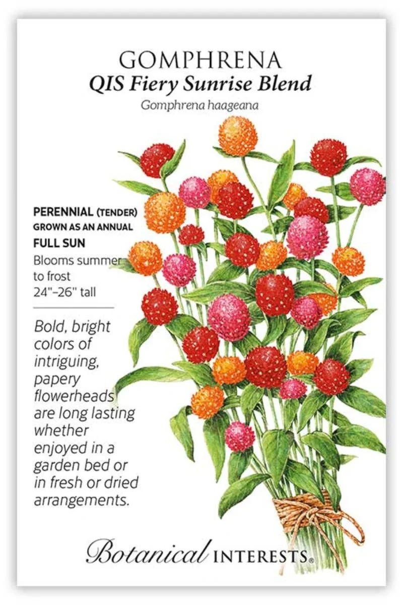 Botanical Interests QIS Fiery Sunrise Blend Gomphrena Seeds