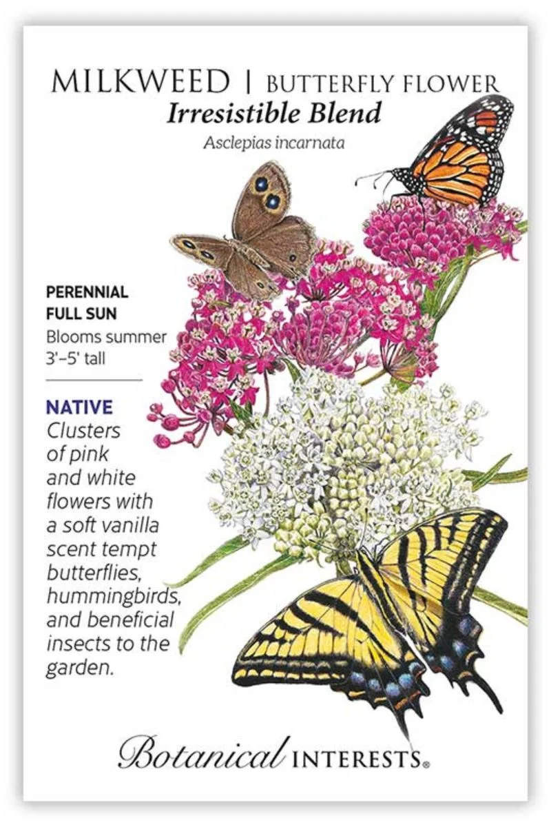 Botanical Interests Irresistible Blend Milkweed/Butterfly Flower Seeds - Image 2
