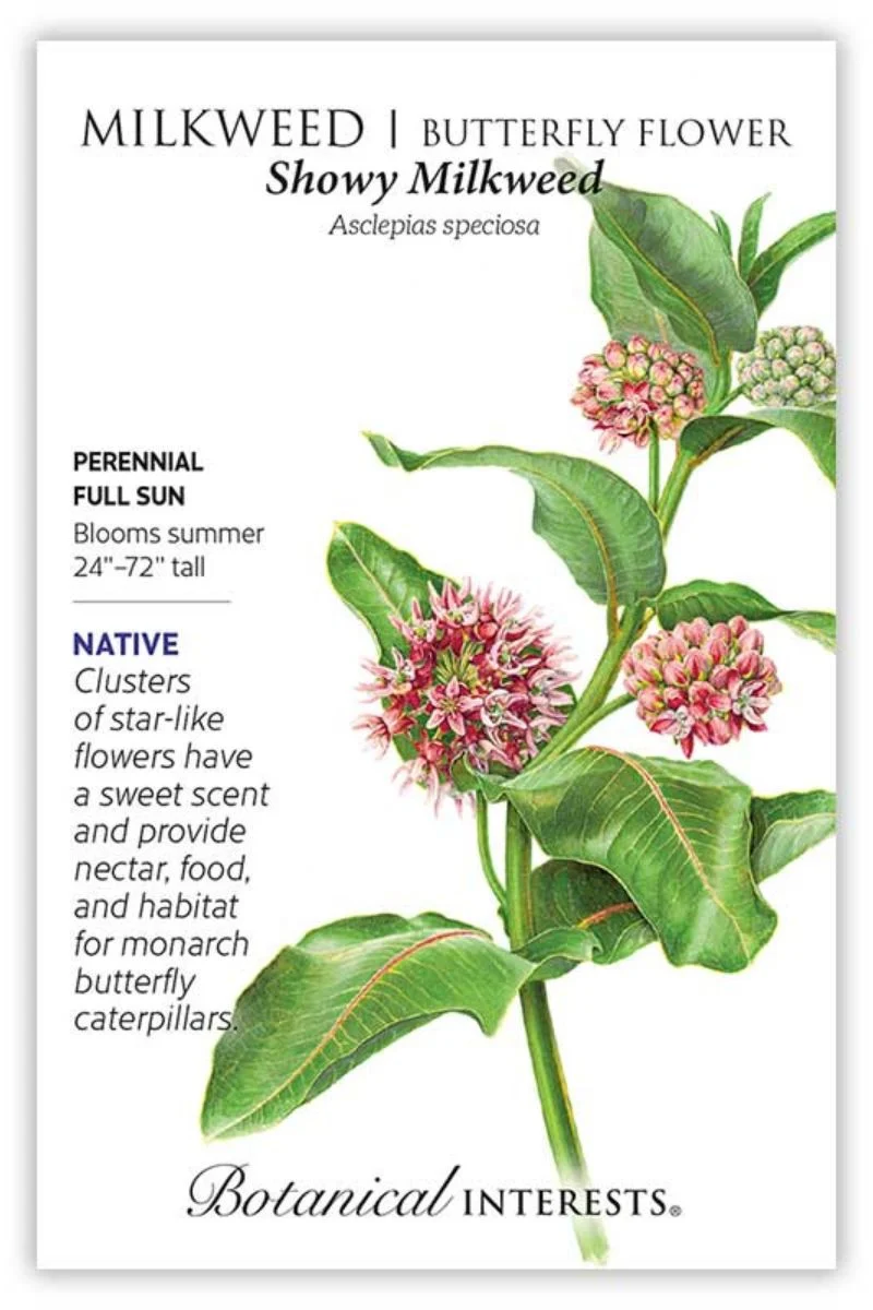 Botanical Interests Snowy Milkweed/Butterfly Flower Seeds - Image 2