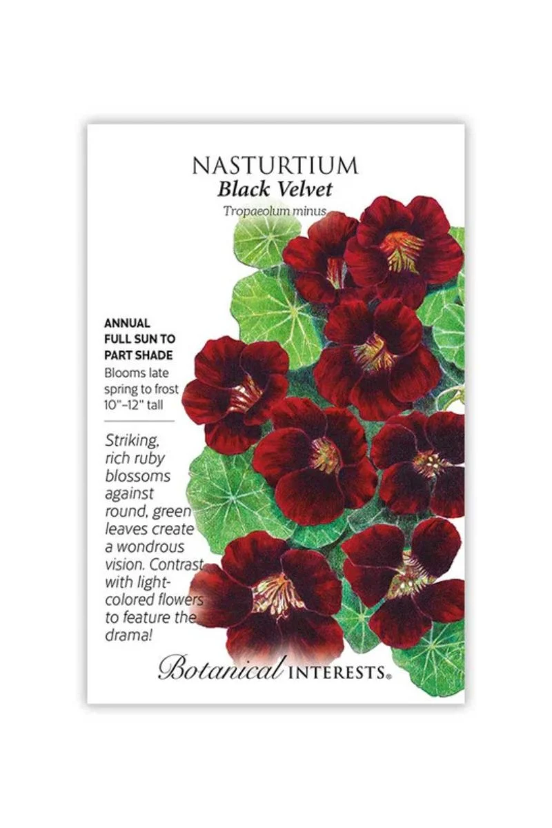 Botanical Interests Black Velvet Nasturtium Seeds