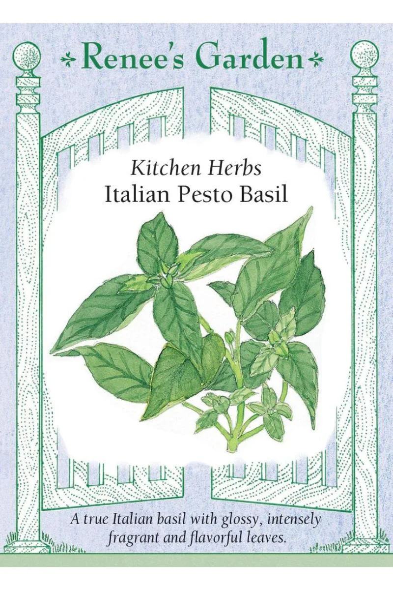 Renee's Garden Kitchen Herbs Italian Pesto Basil Seeds - Image 2