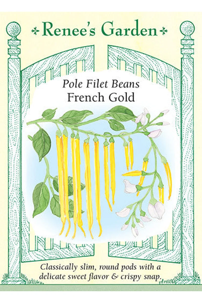 Renee's Garden Pole Filet Beans French Gold Seeds - Image 2