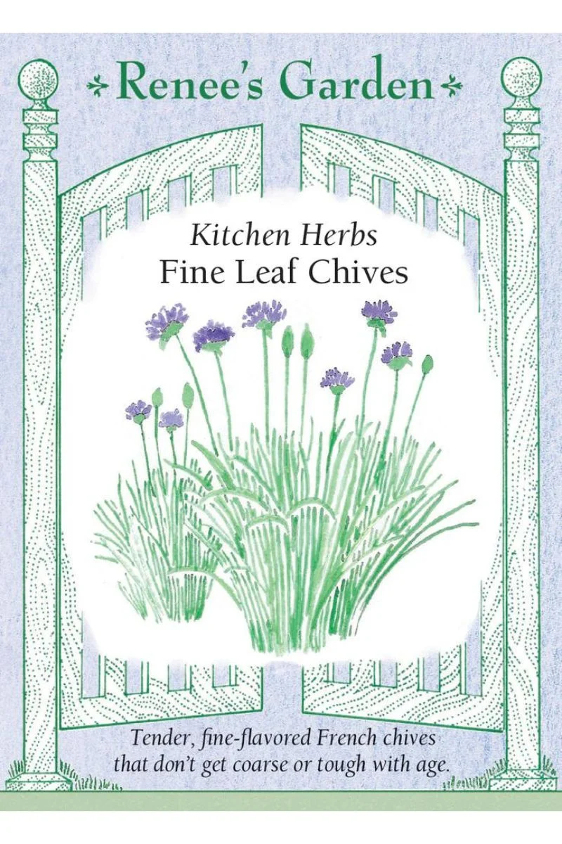 Renee's Garden Kitchen Herbs Fine Leaf Chives Seeds
