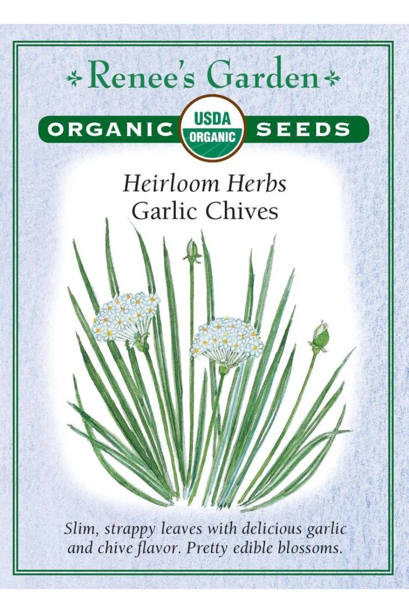 Renee's Garden Heirloom Herbs Garlic Chives Organic Seeds