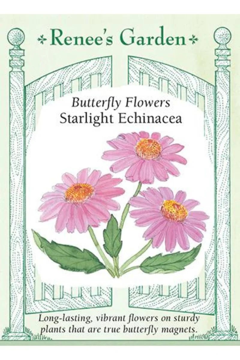 Renee's Garden Butterfly Flowers Starlight Echinscea Seeds
