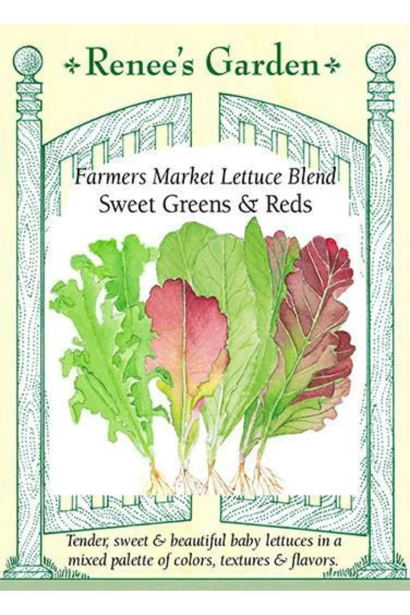 Renee's Garden Farmers Market Lettuce Blend Sweet Greens & Reds Seeds - Image 2