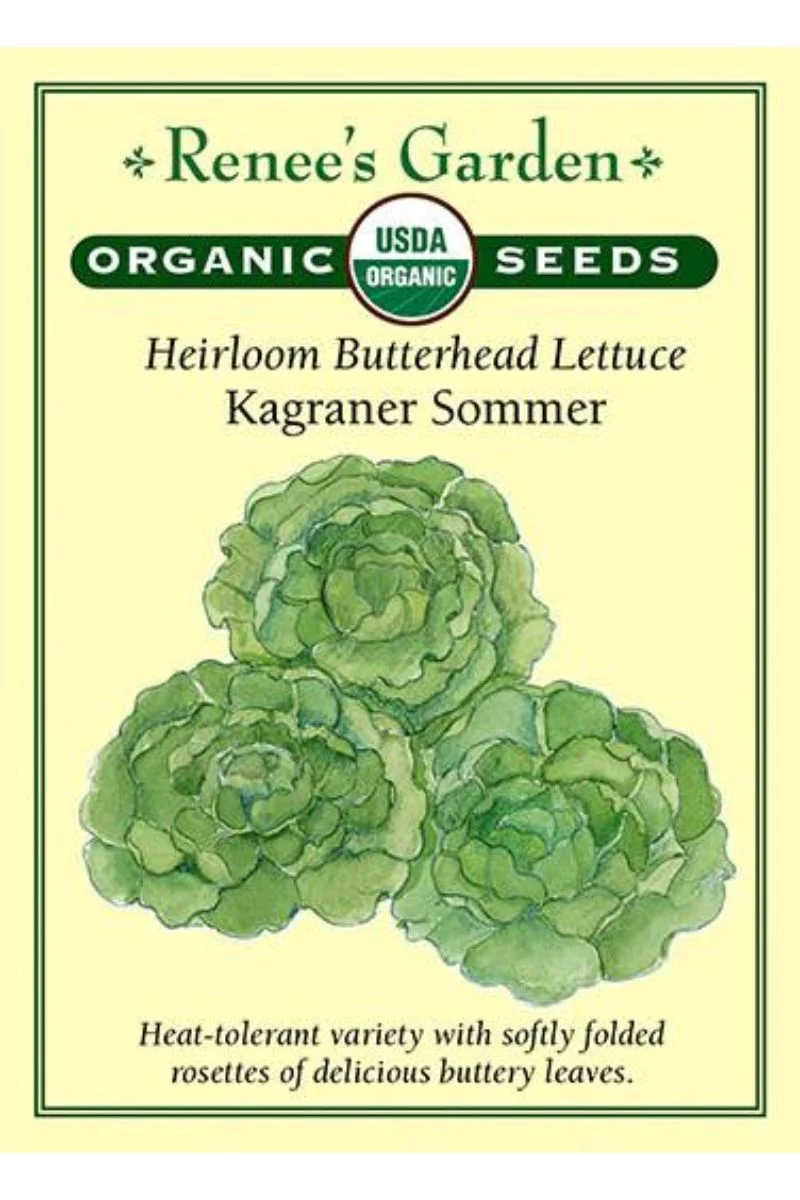 Renee's Garden Heirloom Butterhead Lettuce Kagraner Sommer Organic Seeds - Image 2