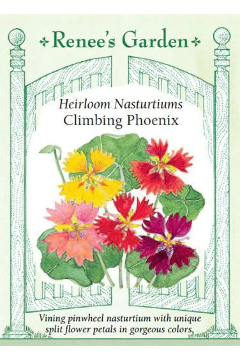 Renee's Garden Heirloom Nasturtiums Climbing Phoenix Seeds - Image 2