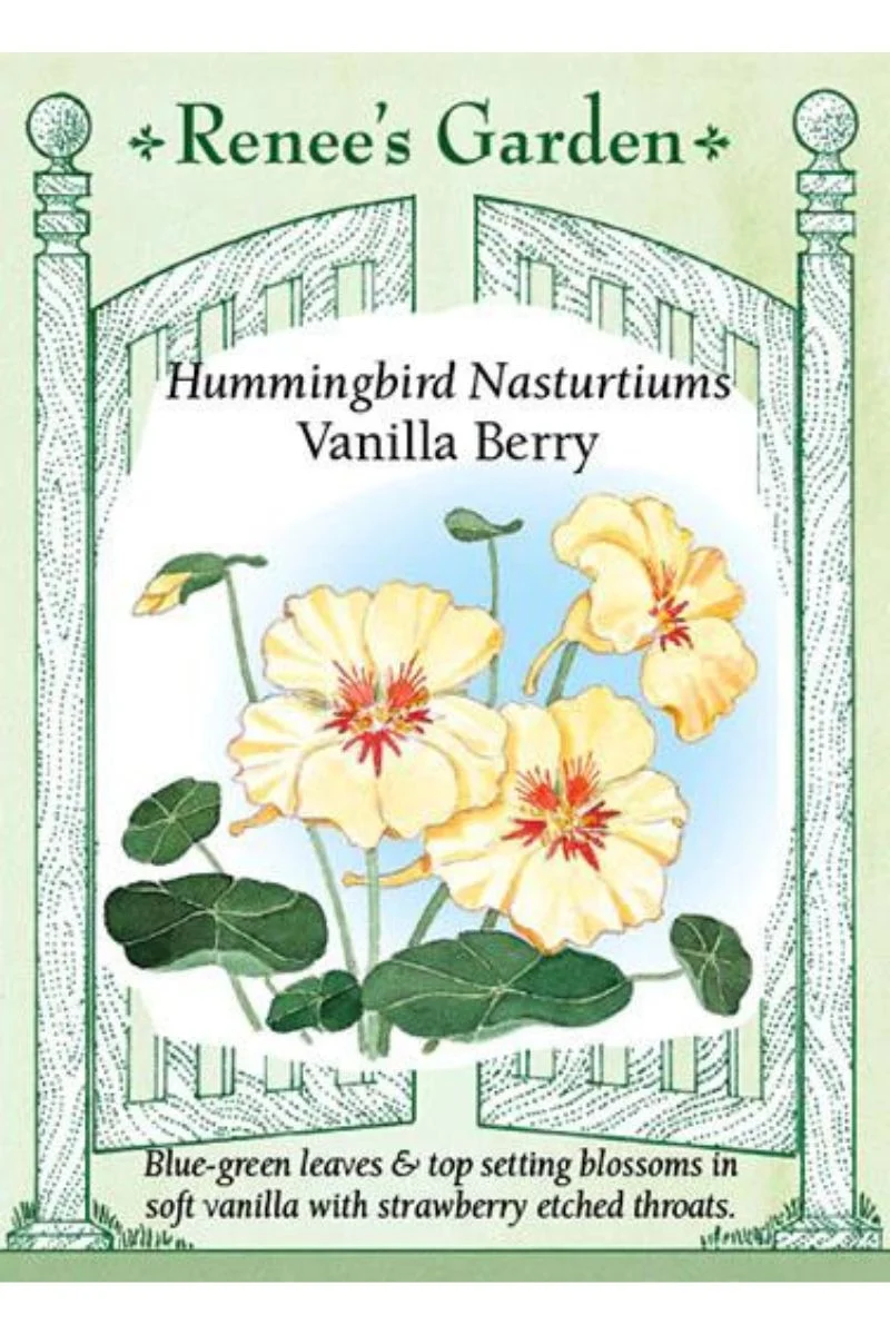 Renee's Garden Hummingbird Nasturtiums Vanilla Berry Seeds - Image 2