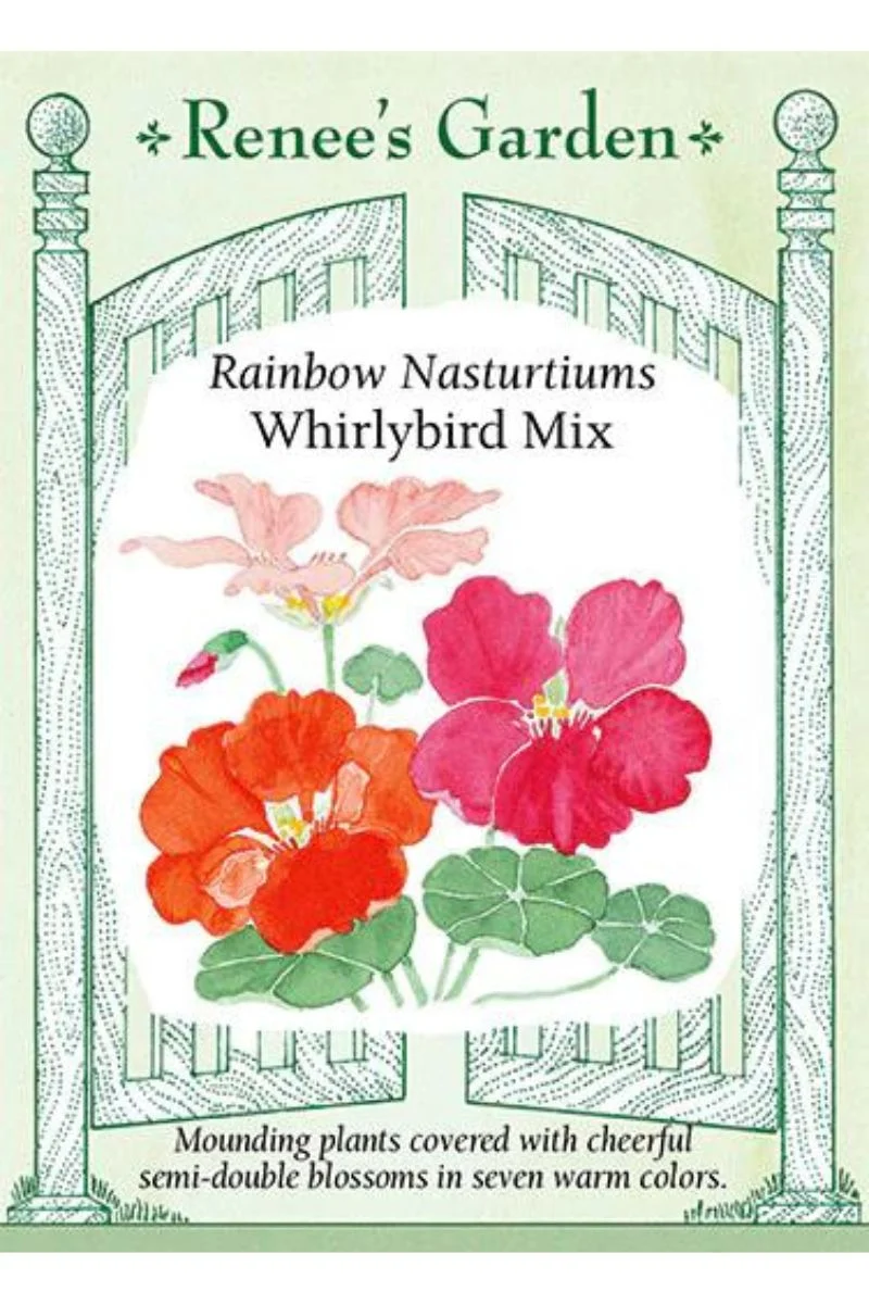 Renee's Garden Rainbow Nasturtiums Whirlybird Mix Seeds - Image 2