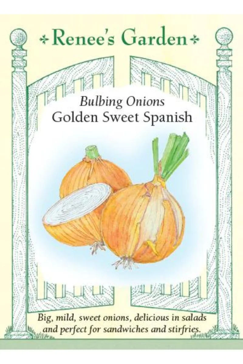 Renee's Garden Bulbing Onion Golden Sweet Spanish Seeds - Image 2