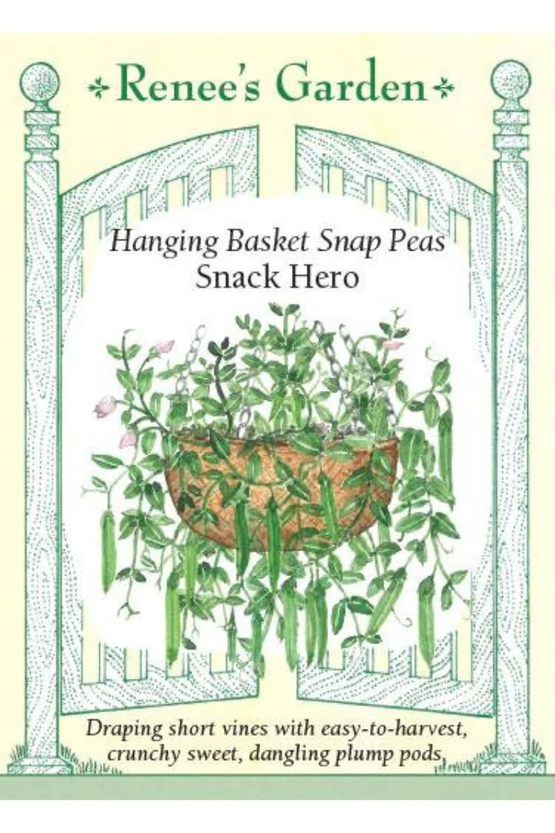 Renee's Garden Hanging Basket Snap Peas Snack Hero Seeds - Image 2