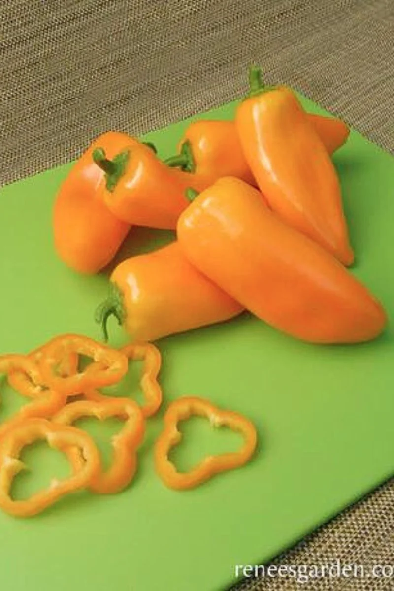 Renee's Garden Baby Snack Peppers Yummy Belles Seeds - Image 2
