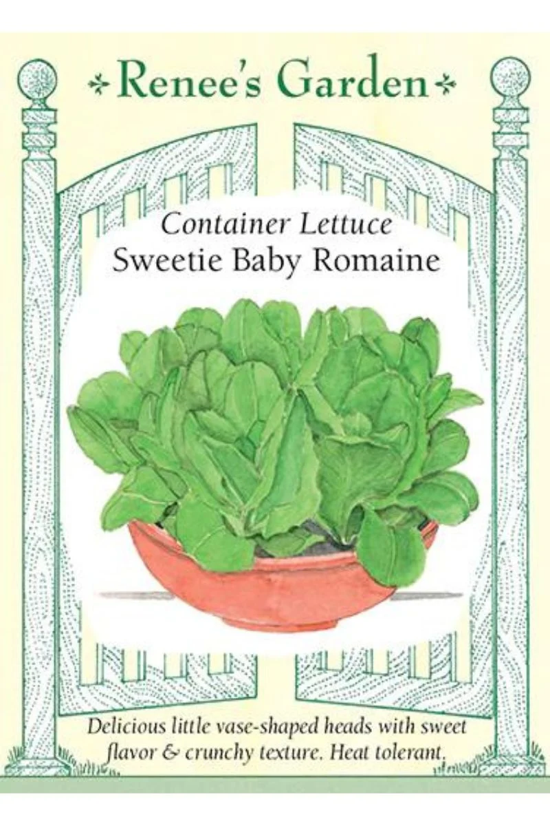 Renee's Garden Container Lettuce Sweetie Baby Romaine Seeds - Image 2