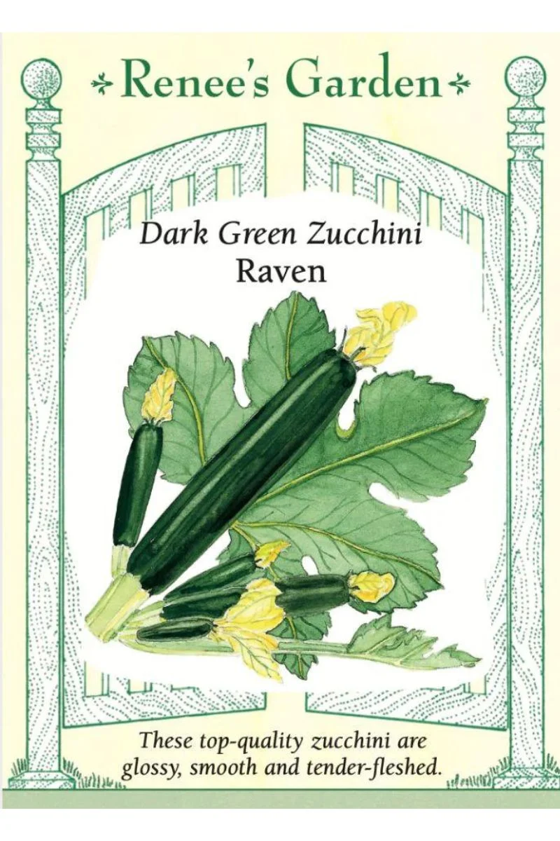 Renee's Garden Dark Green Zucchini Twilight Seeds - Image 2