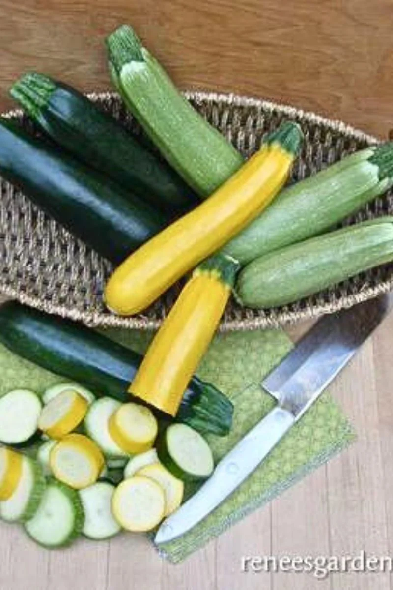 Renee's Garden Tricolor Zucchini Jade, Gold & Emerald Seeds - Image 2