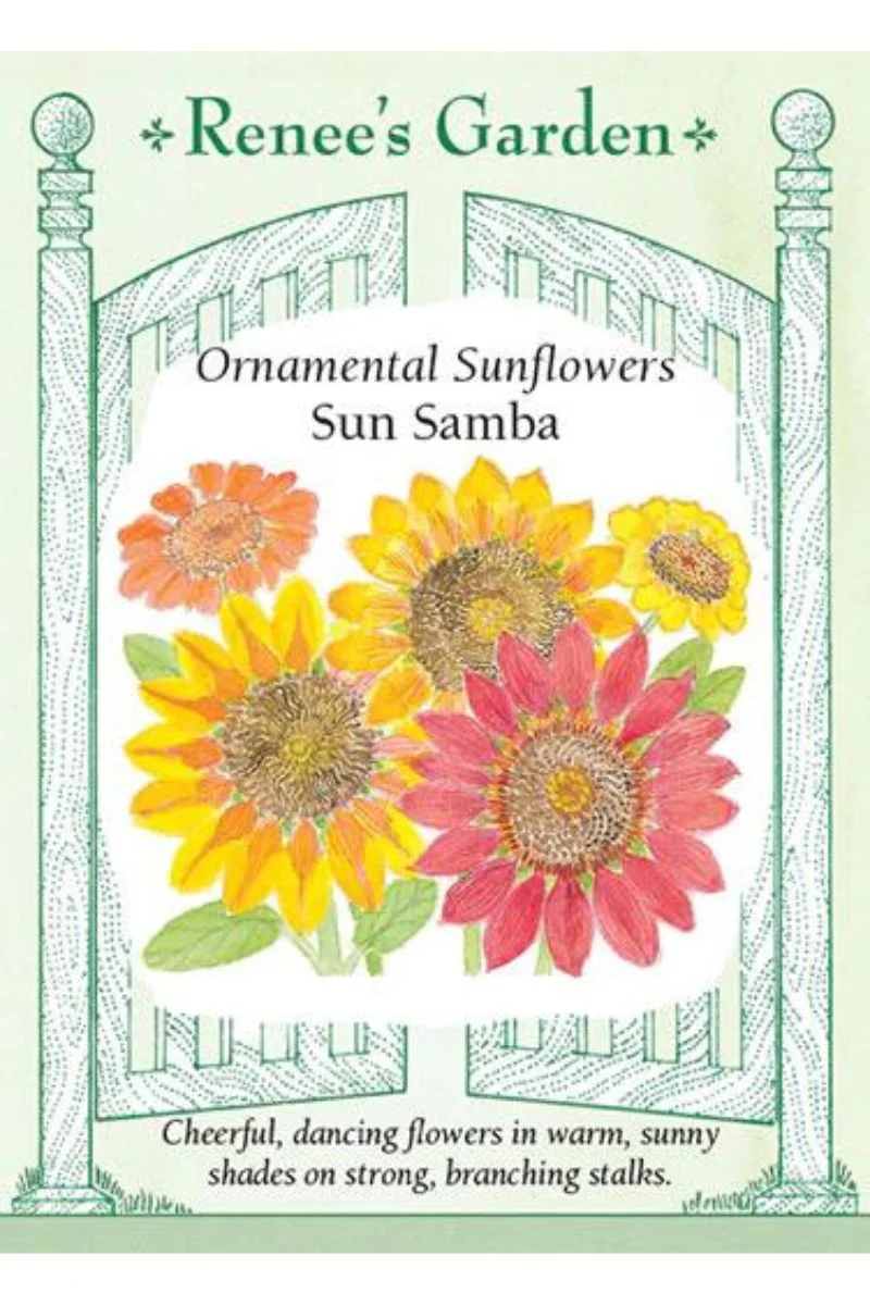 Renee's Garden Ornamental Sunflowers Sun Samba Seeds - Image 2