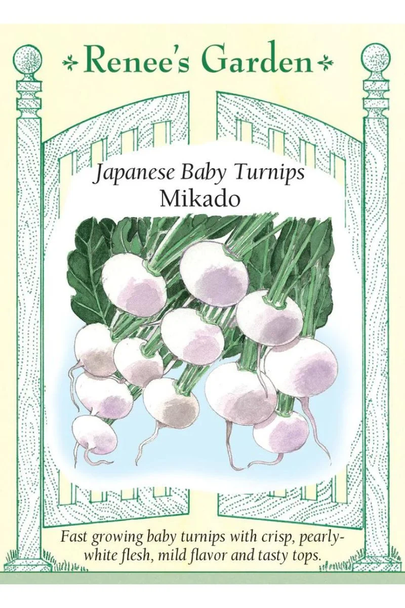 Renee's Garden Japanese Baby Turnips Mikado Seeds - Image 2