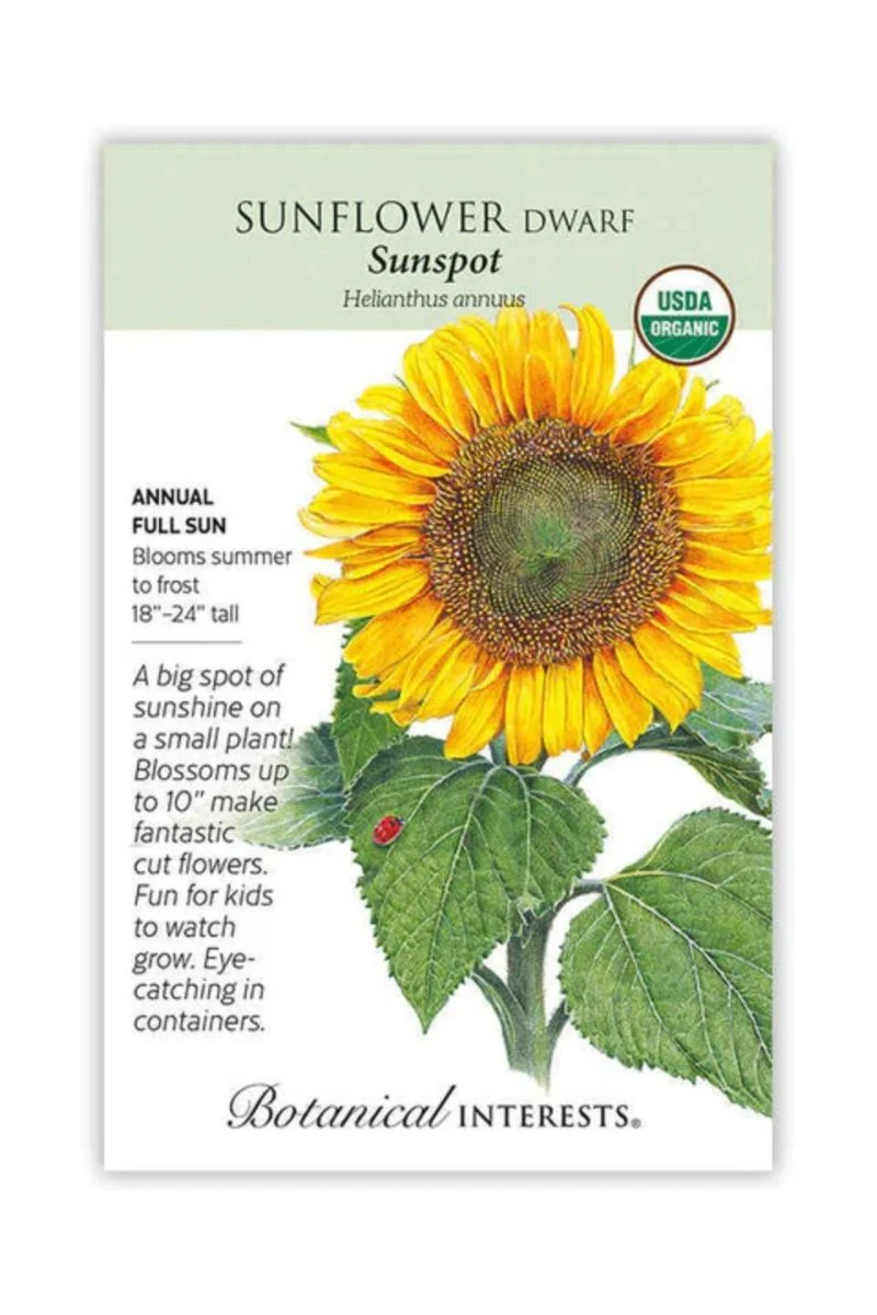 Botanical Interests Sunspot Dwarf Sunflower Organic Seeds