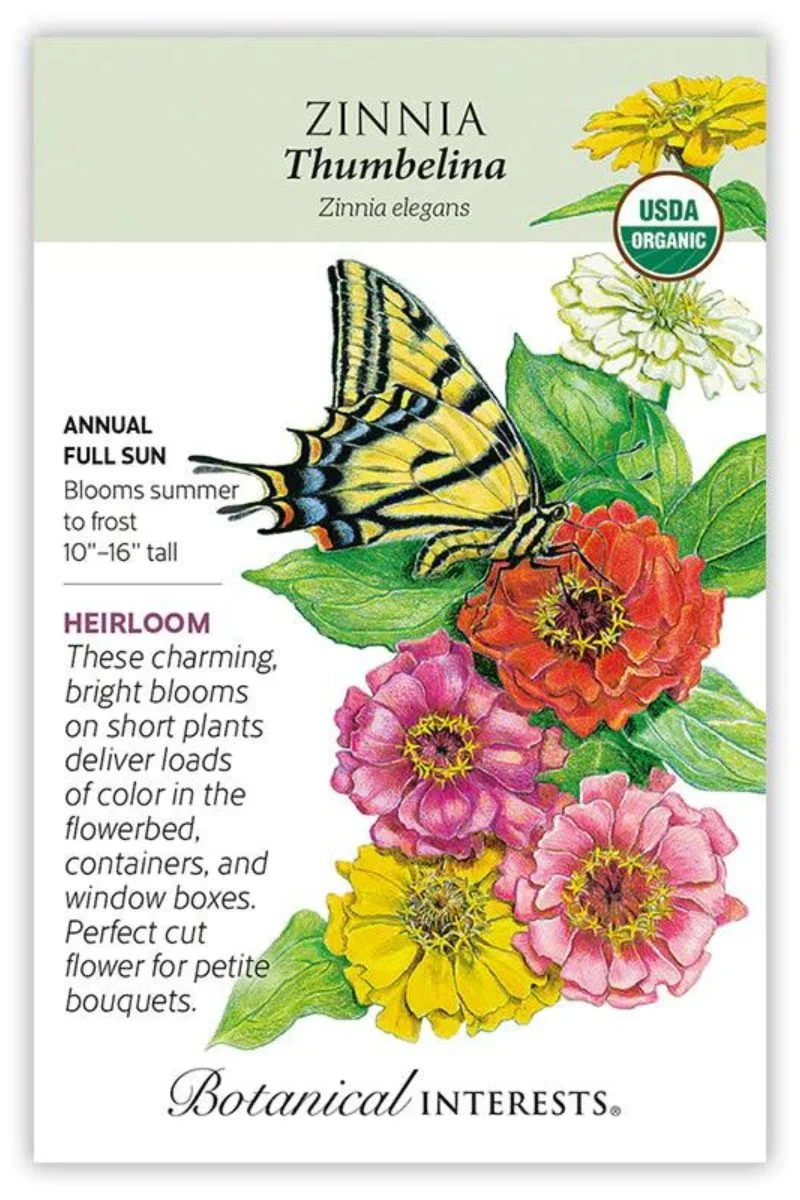 Botanical Interests Thumbelina Zinnia Organic Seeds - Image 3