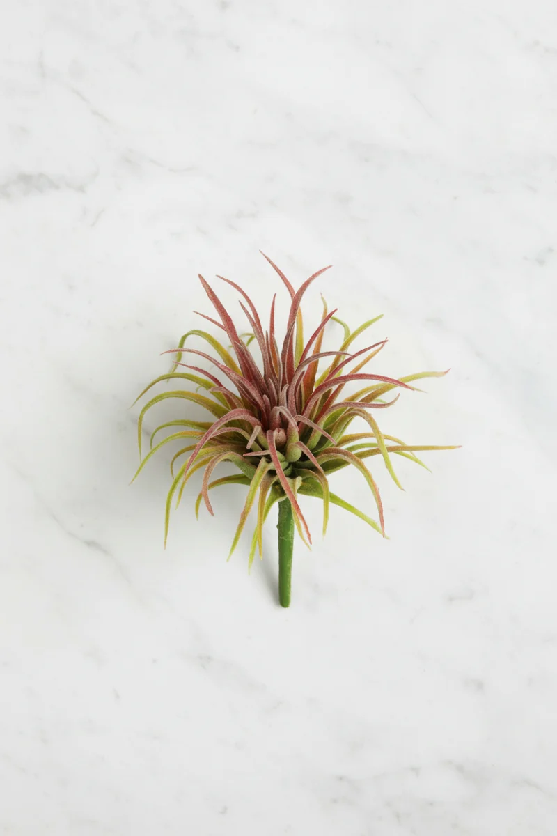 Faux Tillandsia Pick 6" Green & Red