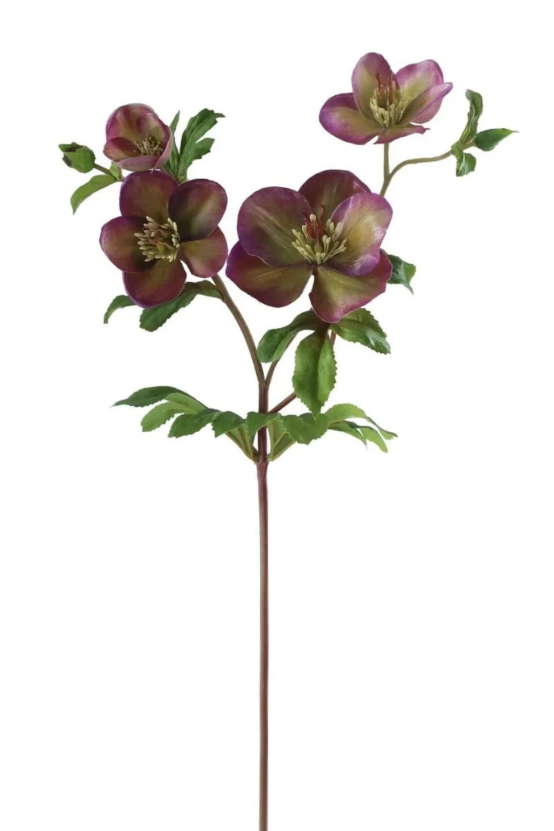 Faux Hellebore Stem 25" Evening Purple