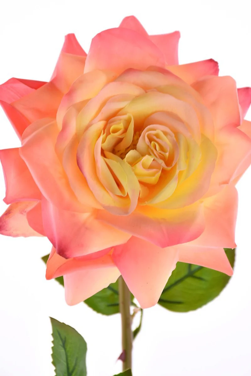 SILK STEM NT ROSE YE/PK 25"
