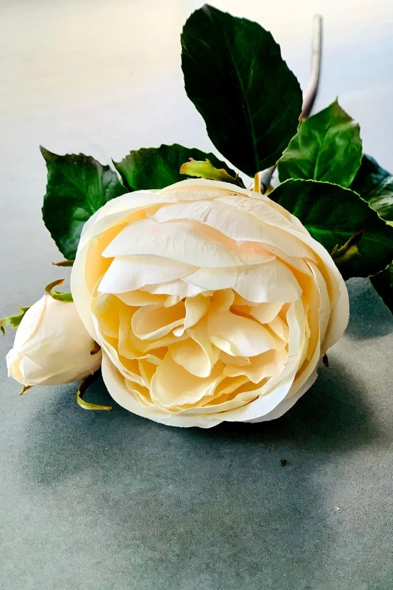 Faux English Ambridge Rose Stem 19" Blush Ivory