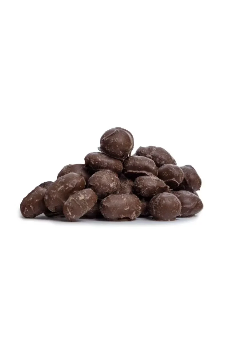 South Bend Chocolate Company Double Dipped Peanuts 8 oz